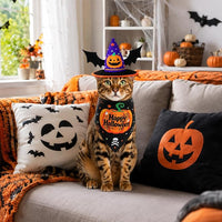 Pet Pumpkin Costume – Dog & Cat Bandana Set