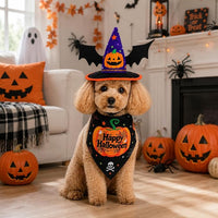 Pet Pumpkin Costume – Dog & Cat Bandana Set